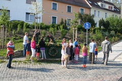 IMG 0011