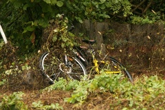 IMG 7656