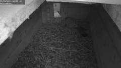 MDAlarm 20150325-060045