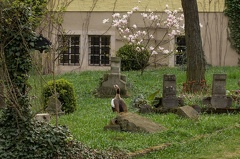 img 0420