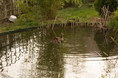 img 0451