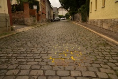IMG 5595